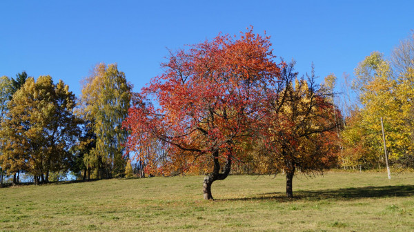 DSC03480