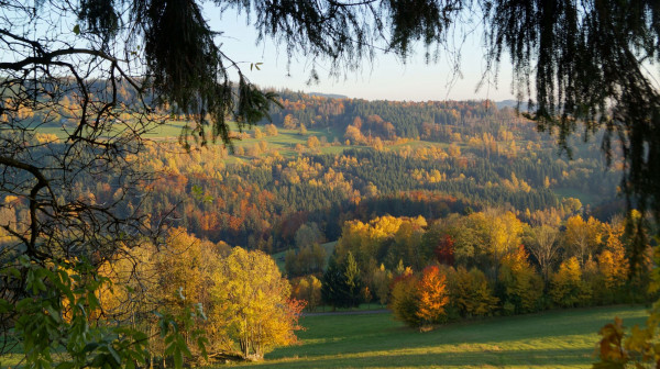 DSC03534