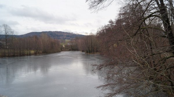 DSC03631