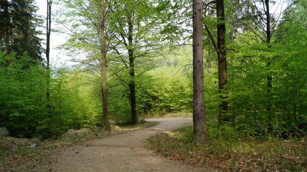 DSC03850