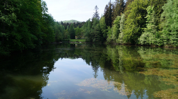 DSC04025