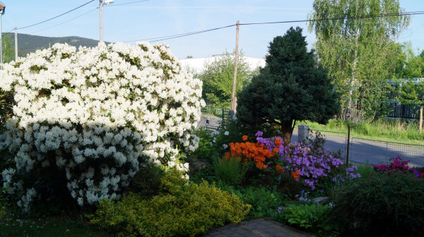 DSC04093