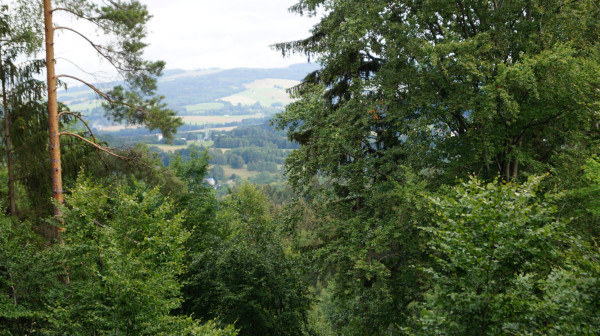 DSC04568