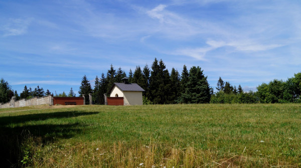 _DSC5559