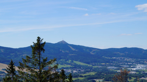 _DSC5585