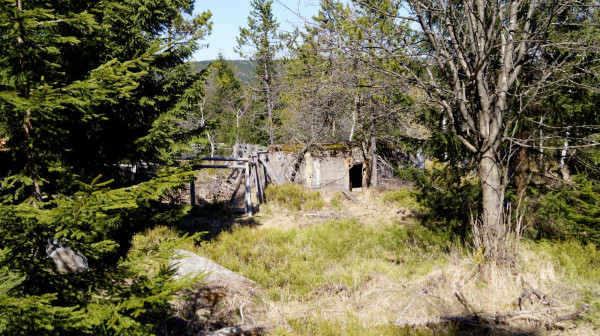 _DSC7050