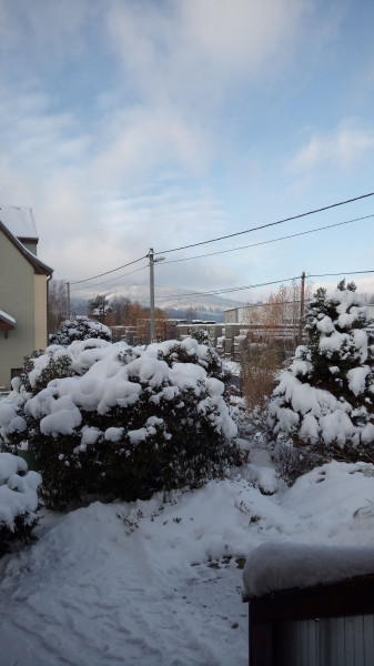 IMG_20231130_094158_867